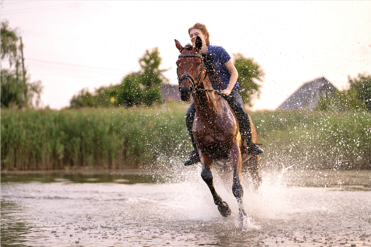 Young girl riding. Девушка катается на лошади. Катание на лошадях по воде. Лошадь у озера. Девушка и лошадь на озере.